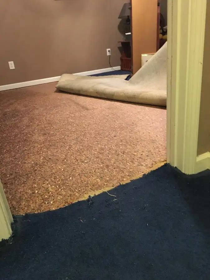 Carpet pad removal revealing water damage during Water Mitigation Services in Walden