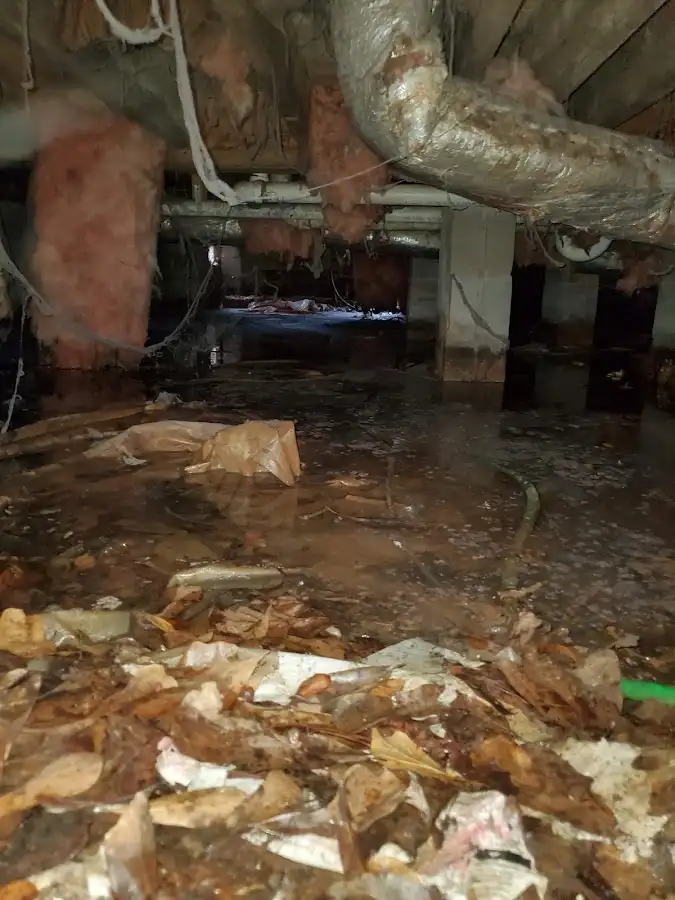 Crawl space flood assessment for Leak Detection & Repair in Walden